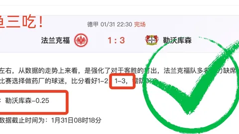 葡萄牙足球与沙特联赛：C罗期待葡超飞跃发展